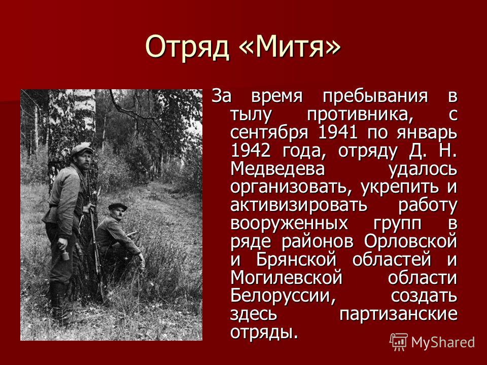 Отряд «Митя» За время пребывания в тылу противника, с сентября 1941 по январь 1942 года, отряду Д. Н. Медведева удалось организовать, укрепить и активизировать работу вооруженных групп в ряде районов Орловской и Брянской областей и Могилевской област