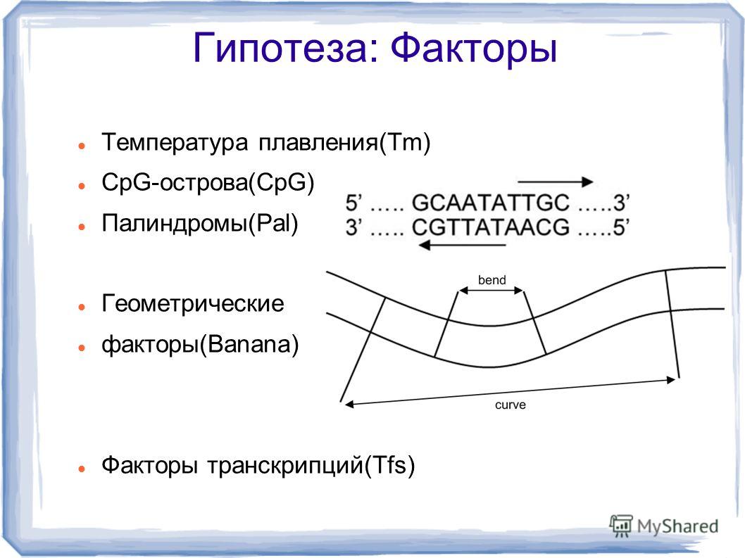 Гипотеза: Факторы Температура плавления(Tm) CpG-острова(CpG) Палиндромы(Pal) Геометрические факторы(Banana) Факторы транскрипций(Tfs)