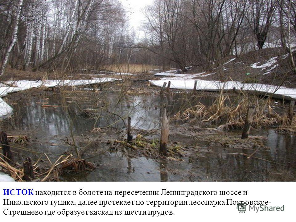 ИСТОК находится в болоте на пересечении Ленинградского шоссе и Никольского тупика, далее протекает по территории лесопарка Покровское- Стрешнево где образует каскад из шести прудов.