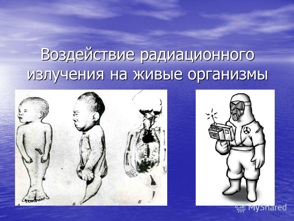 Реферат: Влияние радиации на организм человека, генетические последствия