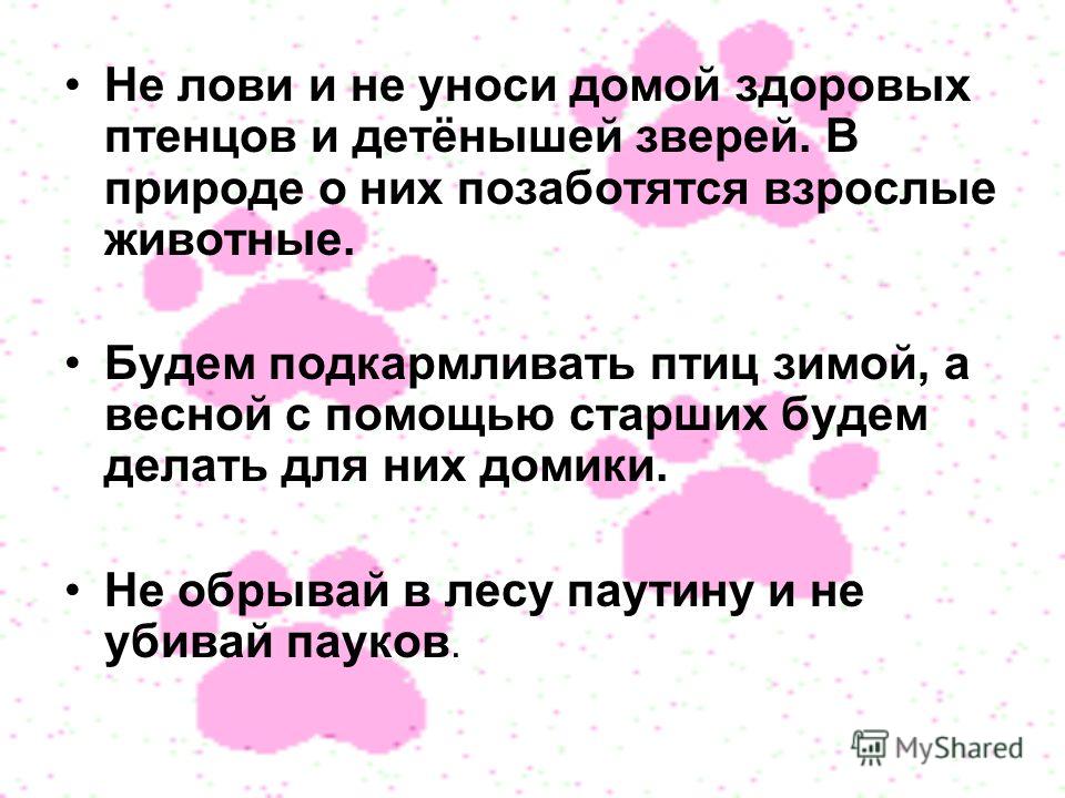 Не лови и не уноси домой здоровых птенцов и детёнышей зверей. В природе о них позаботятся взрослые животные. Будем подкармливать птиц зимой, а весной с помощью старших будем делать для них домики. Не обрывай в лесу паутину и не убивай пауков.