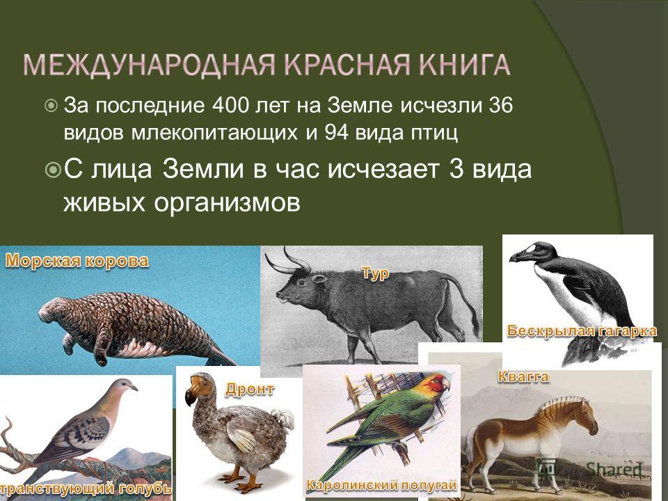 За последние 400 лет на Земле исчезли 36 видов млекопитающих и 94 вида птиц С лица Земли в час исчезает 3 вида живых организмов