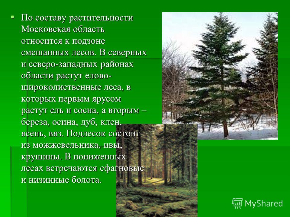 По составу растительности Московская область относится к подзоне смешанных лесов. В северных и северо-западных районах области растут елово- широколиственные леса, в которых первым ярусом растут ель и сосна, а вторым – береза, осина, дуб, клен, ясень
