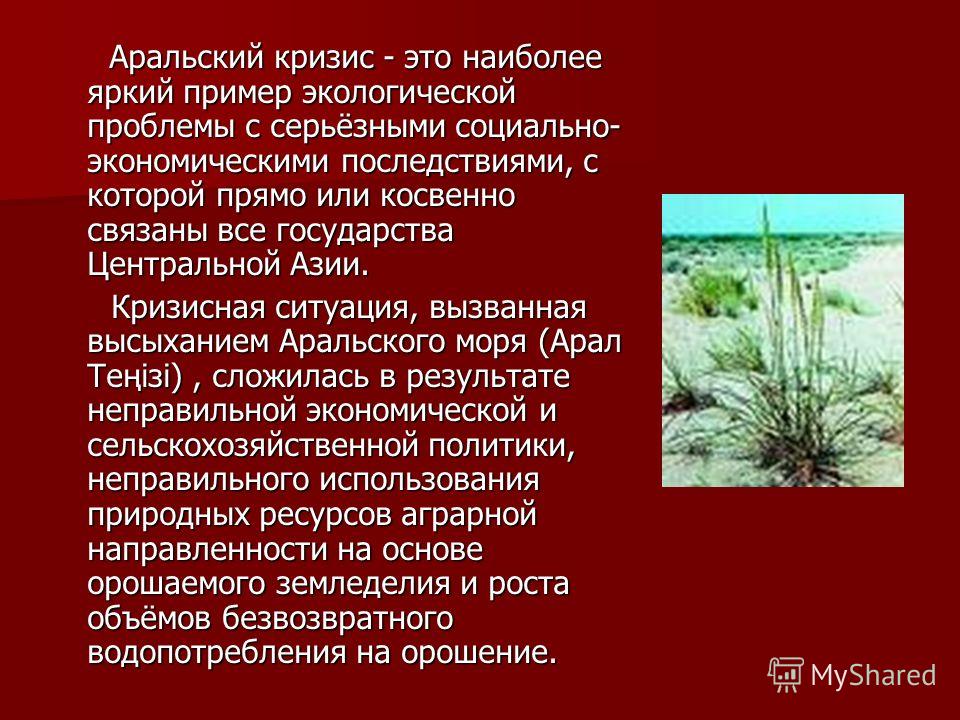 Аральский кризис - это наиболее яркий пример экологической проблемы с серьёзными социально- экономическими последствиями, с которой прямо или косвенно связаны все государства Центральной Азии. Аральский кризис - это наиболее яркий пример экологическо