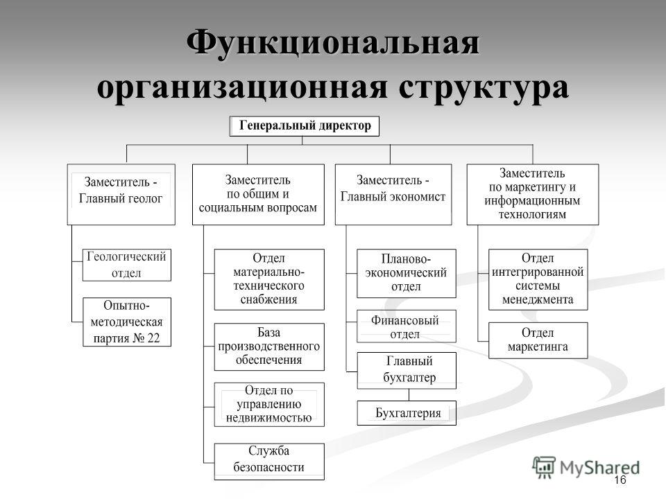 16 Функциональная организационная структура