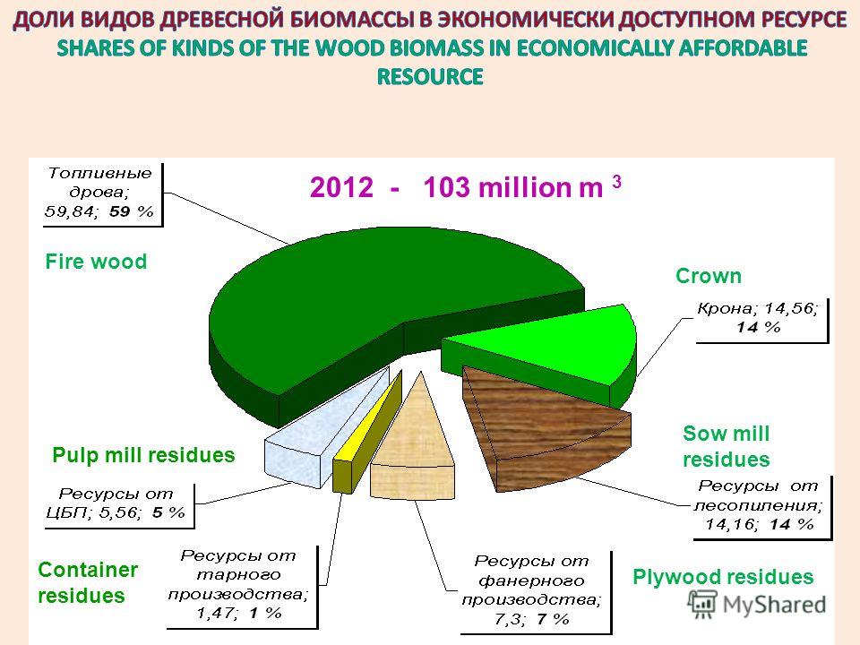 ОПРЕДЕЛЕНИЯ И ТЕРМИНЫ DEFINITIONS AND TERMS Fire wood Crown Sow mill residues Plywood residues 2012 - 103 million m 3 Pulp mill residues Container residues