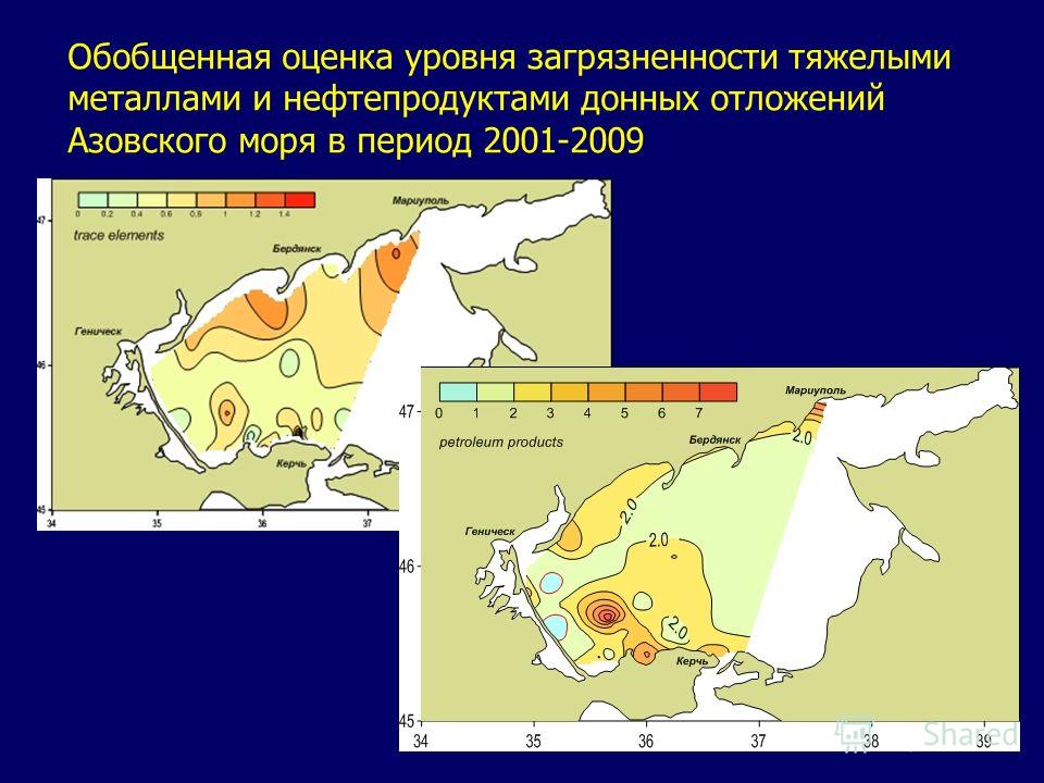 Обобщенная оценка уровня загрязненности тяжелыми металлами и нефтепродуктами донных отложений Азовского моря в период 2001-2009