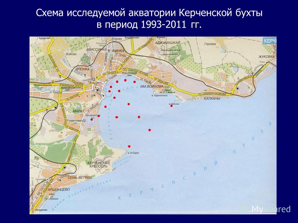 Схема исследуемой акватории Керченской бухты в период 1993-2011 гг.