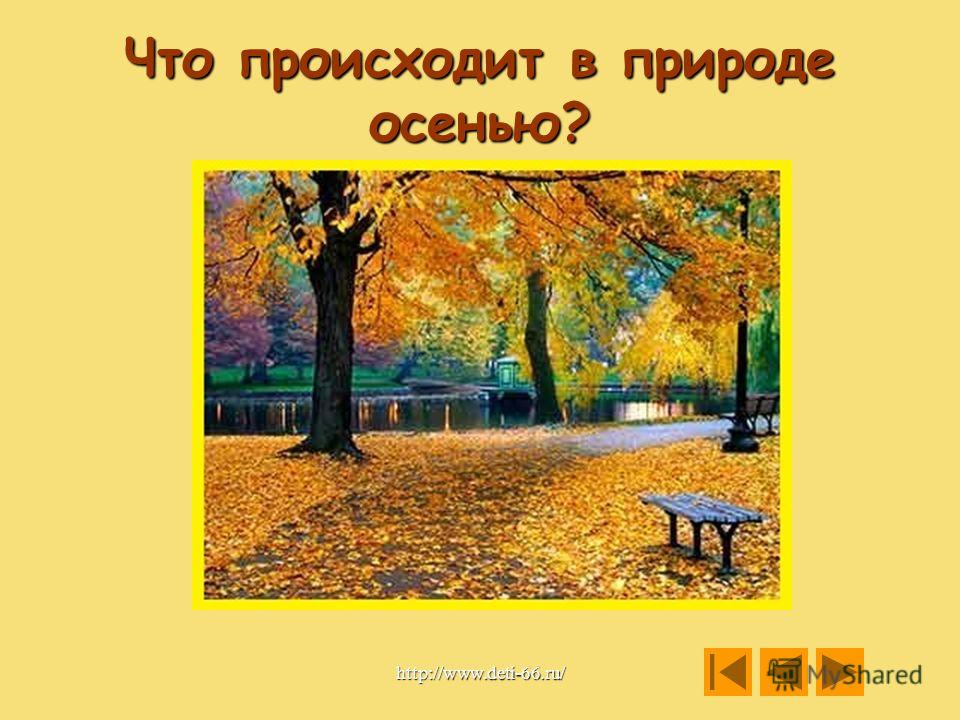 Что происходит в природе осенью? http://www.deti-66.ru/
