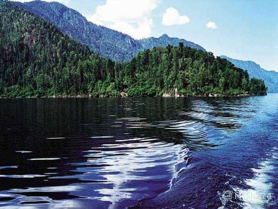 озеро телецкое алтайский край фото