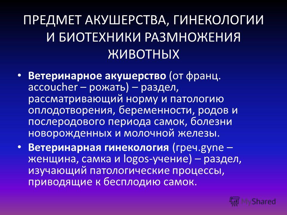  Пособие по теме Шпаргалки по Акушерству с.-х. животных 