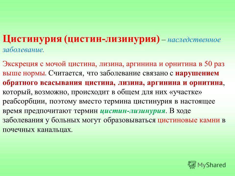 Цистинурия связана с Цистинурия связана с
