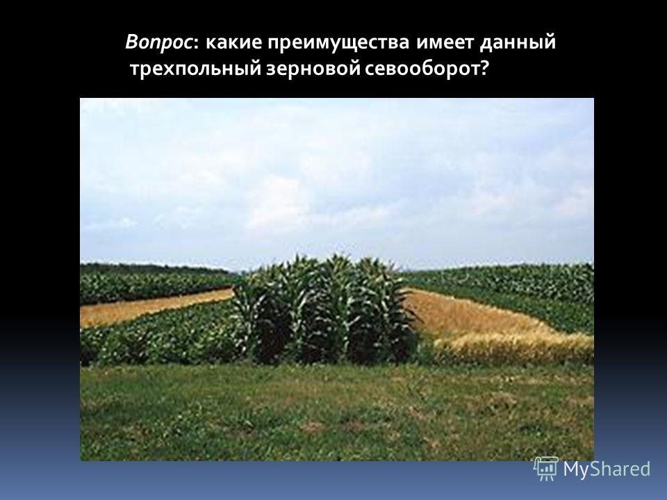 Вопрос: какие преимущества имеет данный трехпольный зерновой севооборот?