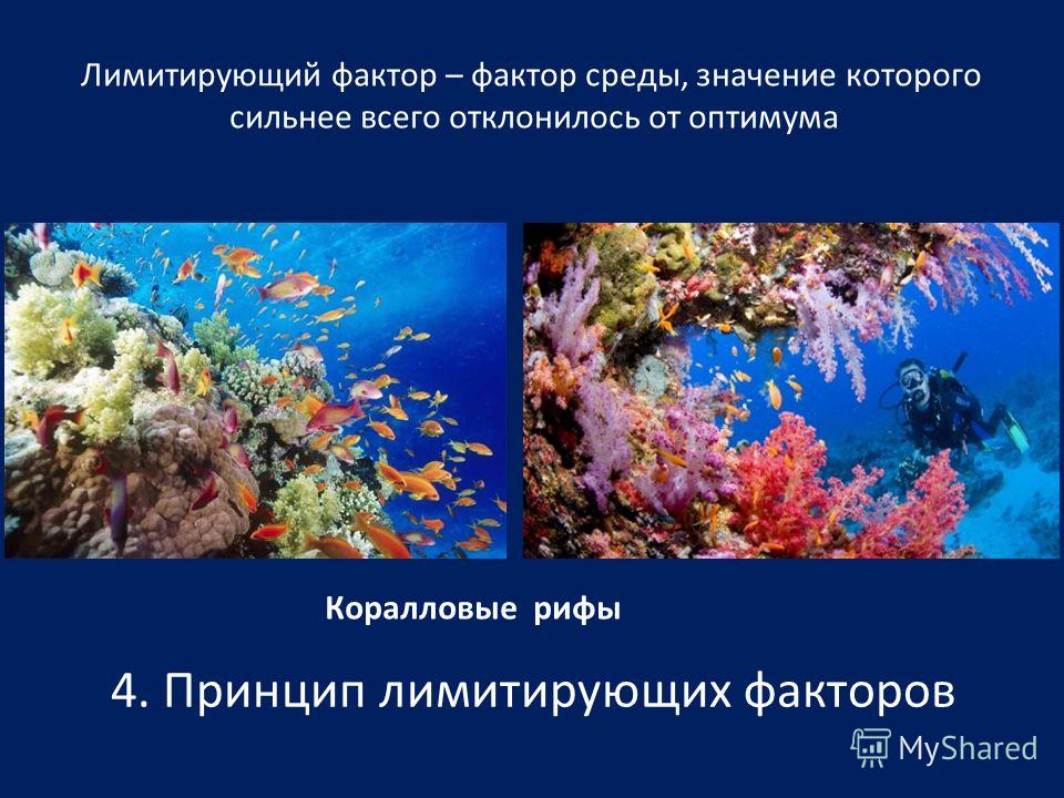 4. Принцип лимитирующих факторов Лимитирующий фактор – фактор среды, значение которого cильнее всего отклонилось от оптимума Температура Влажность Соленость воды Конкуренция Наличие опылителей Коралловые рифы