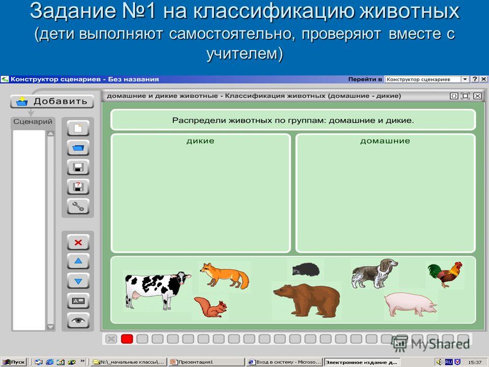 Задание 1 на классификацию животных (дети выполняют самостоятельно, проверяют вместе с учителем)