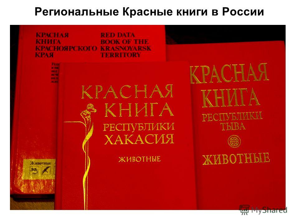 Региональные Красные книги в России