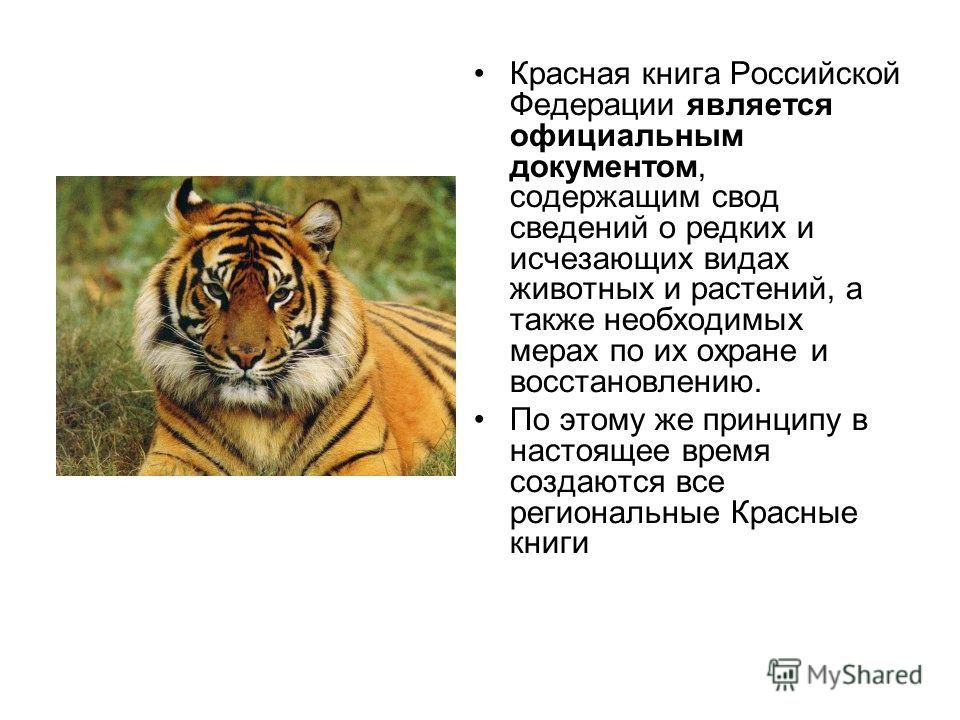 Красная книга Российской Федерации является официальным документом, содержащим свод сведений о редких и исчезающих видах животных и растений, а также необходимых мерах по их охране и восстановлению. По этому же принципу в настоящее время создаются вс