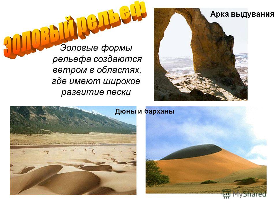 Эоловые формы рельефа создаются ветром в областях, где имеют широкое развитие пески Дюны и барханы Арка выдувания