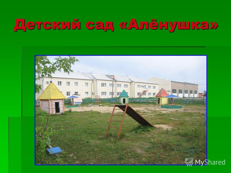 Детский сад «Алёнушка»