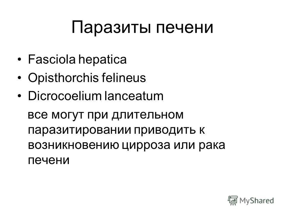 Паразиты печени Fasciola hepatica Opisthorchis felineus Dicrocoelium lanceatum все могут при длительном паразитировании приводить к возникновению цирроза или рака печени
