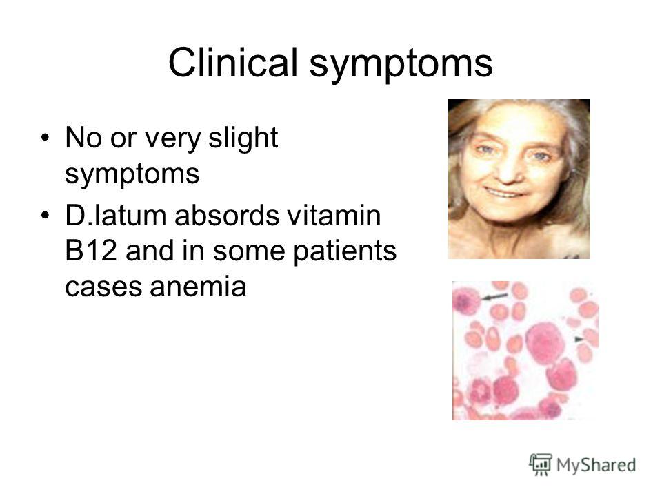 Clinical symptoms No or very slight symptoms D.latum absords vitamin B12 and in some patients cases anemia