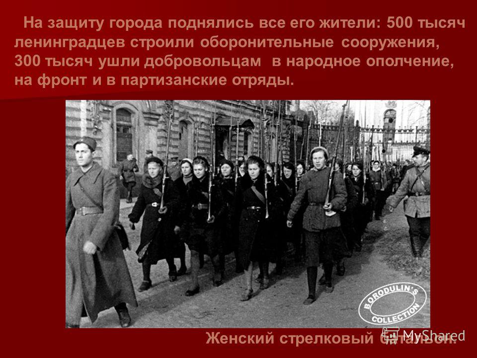 На защиту города поднялись все его жители: 500 тысяч ленинградцев строили оборонительные сооружения, 300 тысяч ушли добровольцам в народное ополчение, на фронт и в партизанские отряды. Женский стрелковый батальон.