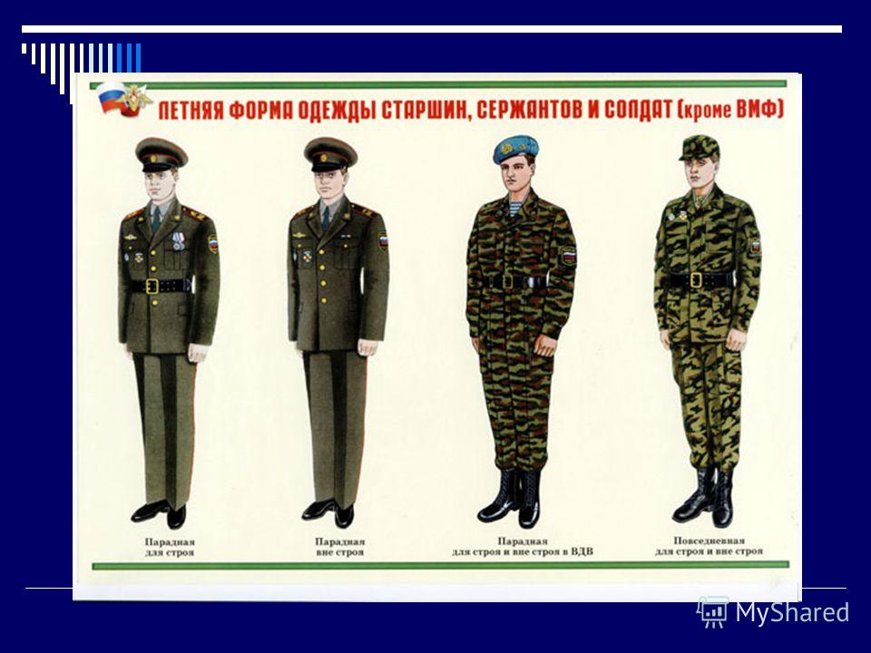 Корова Википедия Консилер Википедия