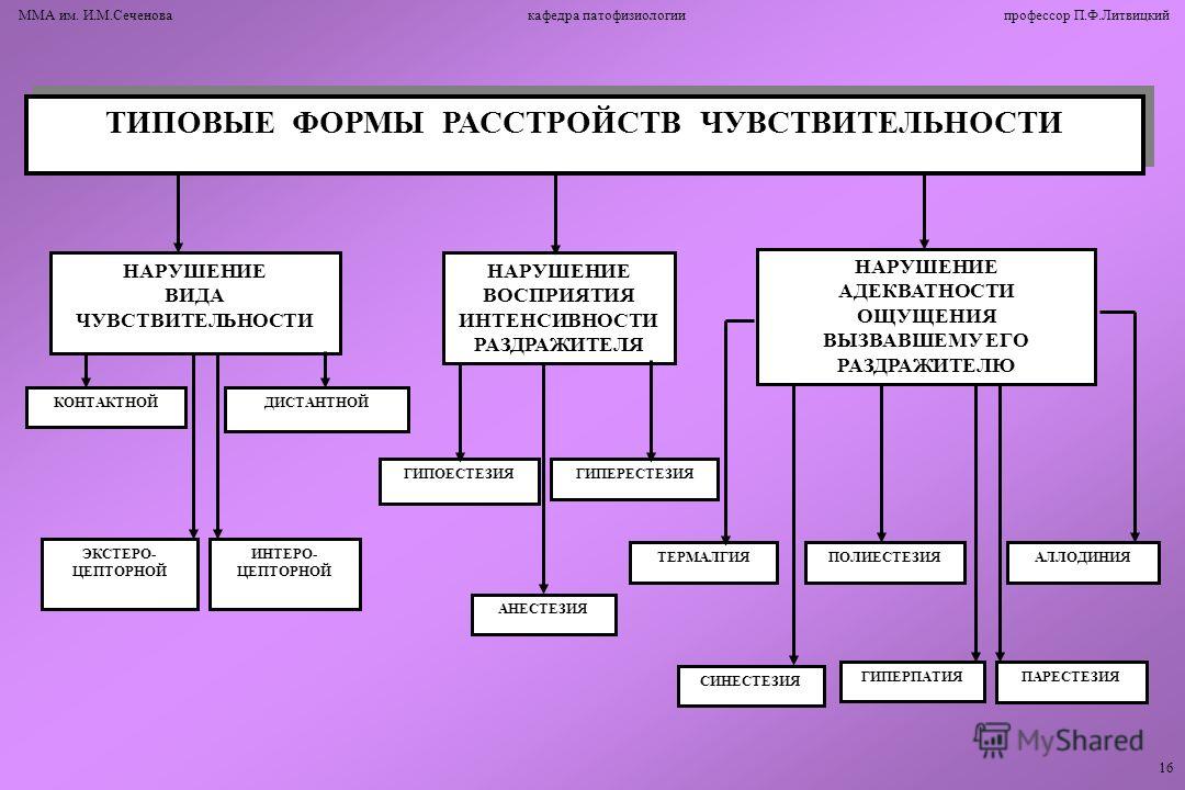 Схема нарушения чувствительности