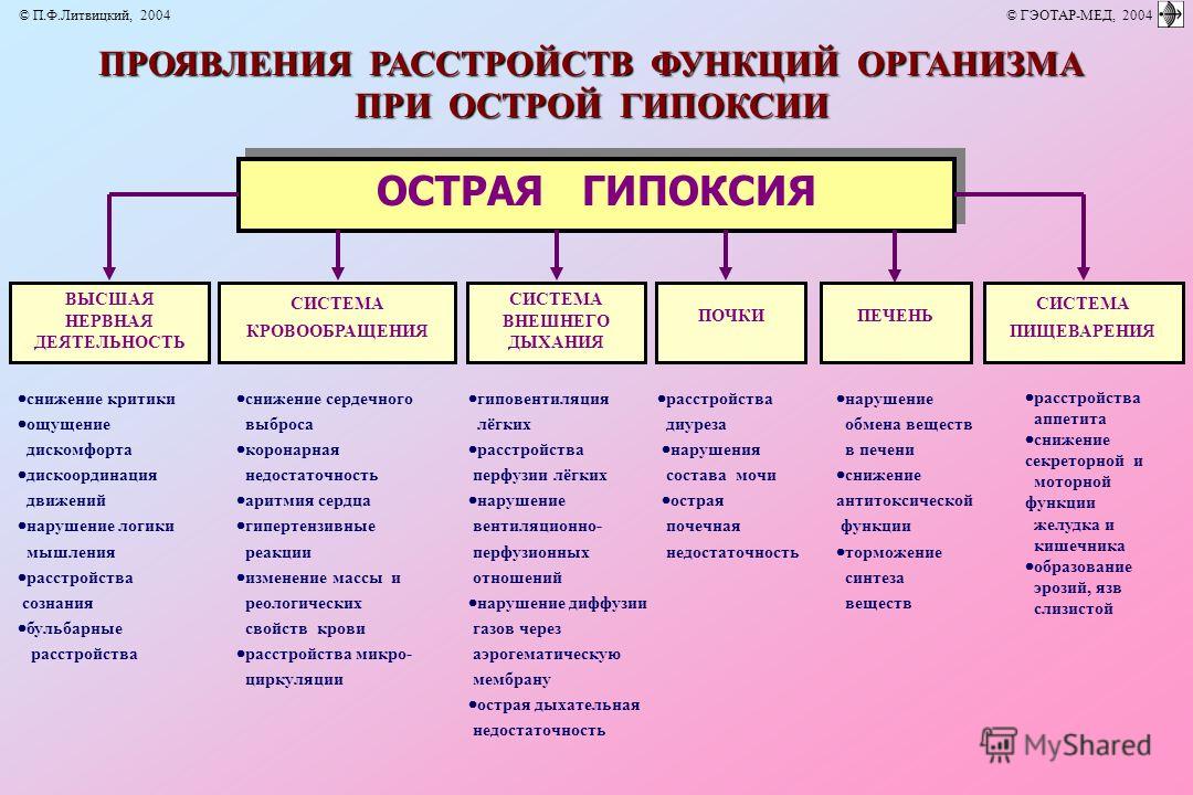  Пособие по теме Характеристика гипоксии