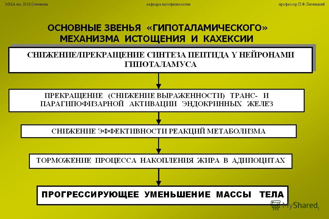 Центр детской гематологии морозовская больница