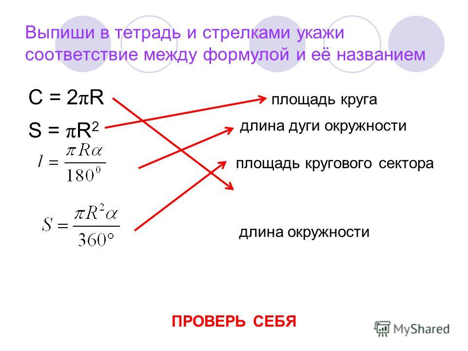 Как найти длину сектора круга, куры голошейки описание породы и музика гудок на телефон Как найти длину сектора круга