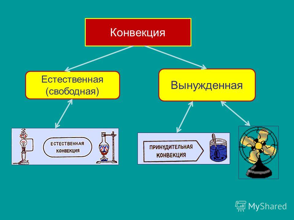 Конвенция - Арт Минск.ру
