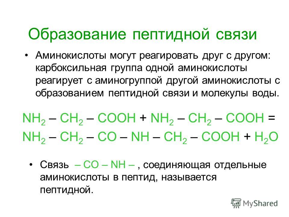 Образование пептидной связи NH 2 – CH 2 – COOH + NH 2 – CH 2 – COOH = NH 2 – CH 2 – CO – NH – CH 2 – COOH + H 2 O Связь – CO – NH –, соединяющая отдельные аминокислоты в пептид, называется пептидной. Аминокислоты могут реагировать друг с другом: карб