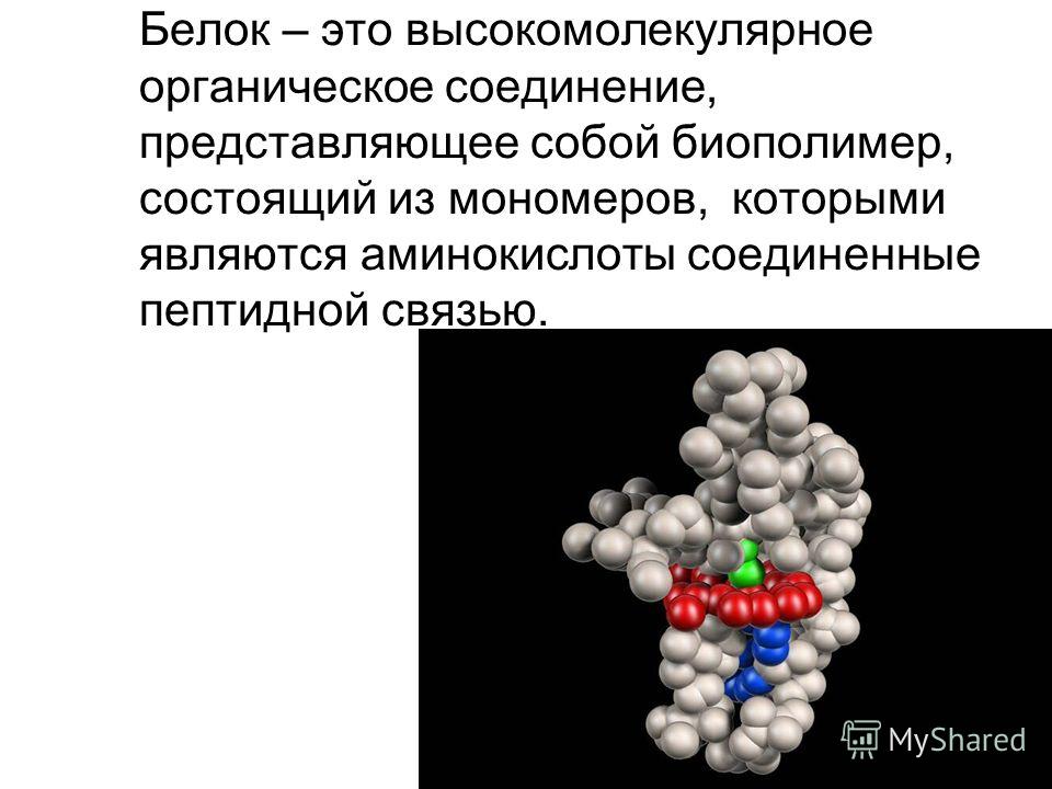 Белок – это высокомолекулярное органическое соединение, представляющее собой биополимер, состоящий из мономеров, которыми являются аминокислоты соединенные пептидной связью.