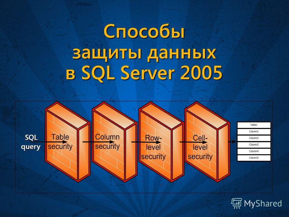 Способы защиты данных в SQL Server 2005 query SQL