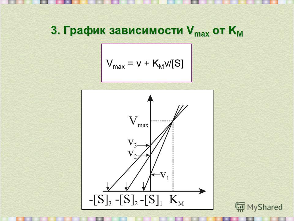 3. График зависимости V max от K M V max = v + K M v/[S]