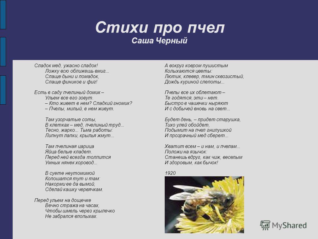 Стих об улье и пчелах Стих об улье и пчелах