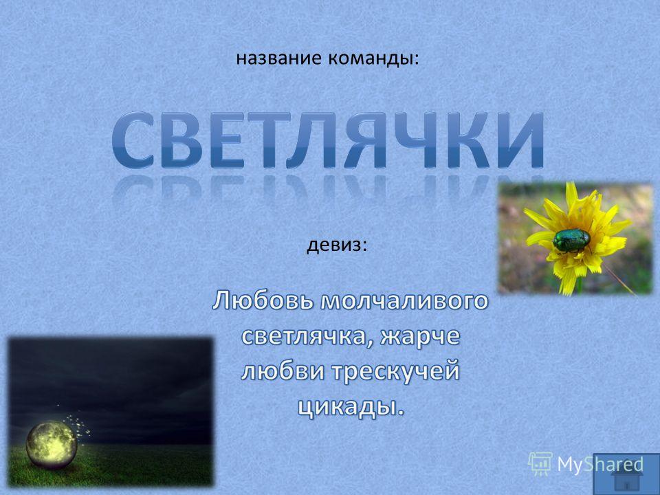 Выкройка памперса для беби бона Выкройка памперса для беби бона