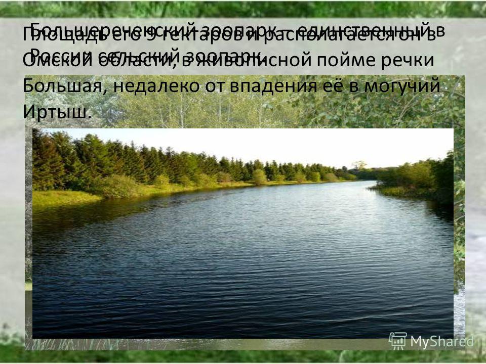 Большереченский зоопарк – единственный в России сельский зоопарк. Площадь его 9 гектаров и располагается он в Омской области, в живописной пойме речки Большая, недалеко от впадения её в могучий Иртыш.