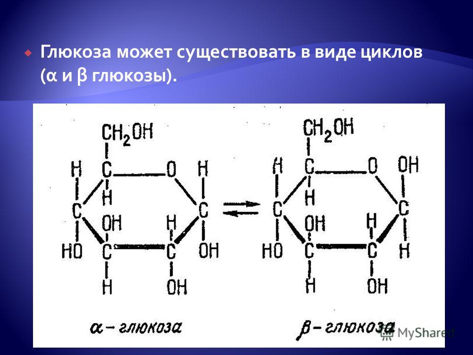 Углеводы состоят из мономеров глюкозы