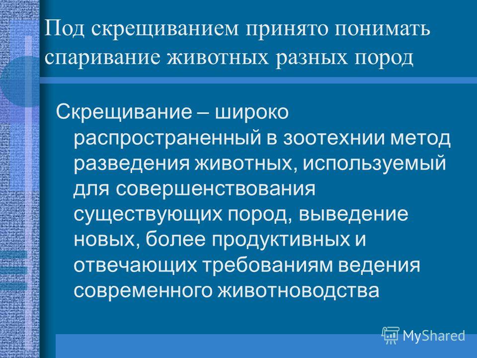 Презентация на тему: "Скрещивание. План лекции Виды скрещивания Определение кров