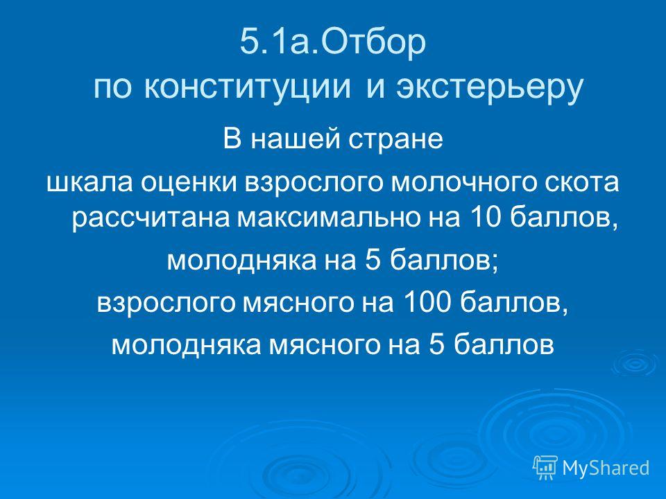 Отбор по конституции и экстерьеру Отбор по конституции и экстерьеру