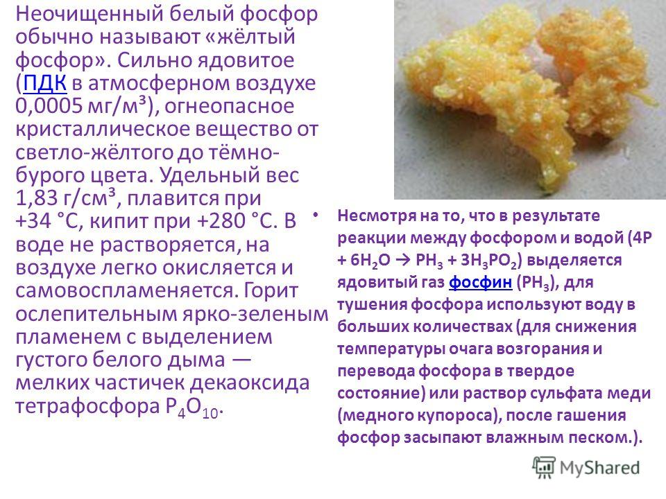 Презентация на тему: "ФОСФОР И ЕГО СВОЙСТВА. .Да! Это была собака, огромная, чер