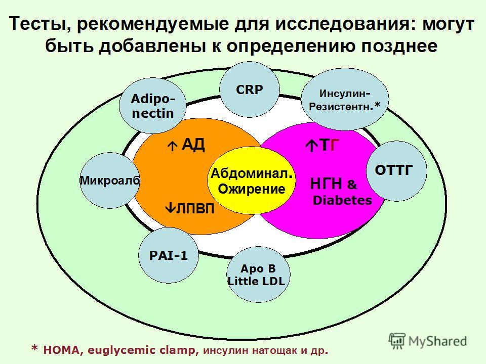 диетолог эндокринолог в самаре отзывы диетолог эндокринолог в самаре отзывы