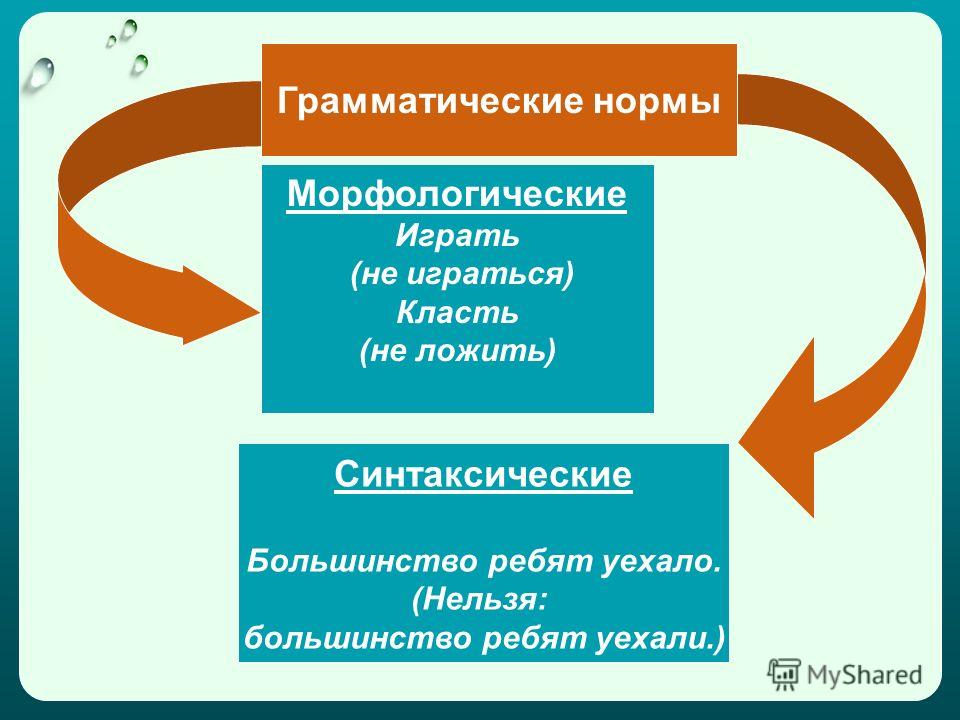 Грамматические нормы современного русского языка. Родной (русский) язык. 7 класс