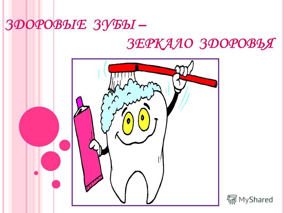 Что такое эписиноидный зуб Что такое эписиноидный зуб