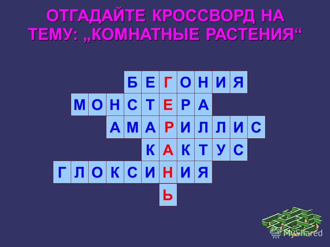 Интерьеры сканворд Интерьеры сканворд