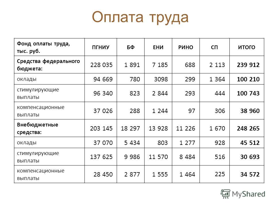 Календарь у кошек