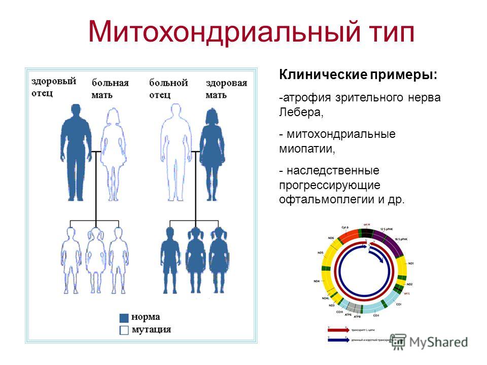 Почему болит бок с левой стороны при