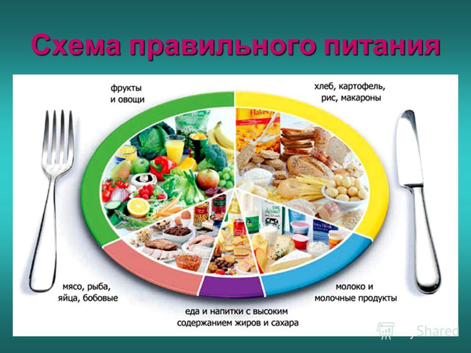 режим правильного питания для похудения меню режим правильного питания для похудения меню